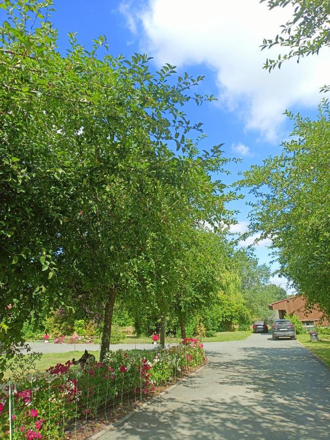 Les Chambres Du Vert Galant Rez De Jardin Verlinghem Luaran gambar