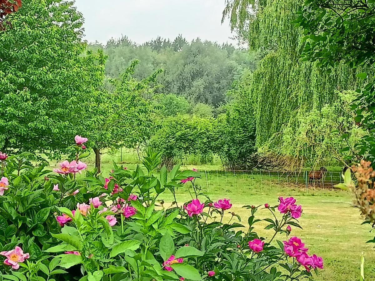 Les Chambres Du Vert Galant Rez De Jardin Verlinghem Luaran gambar